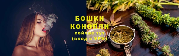 прущие крисы Верея