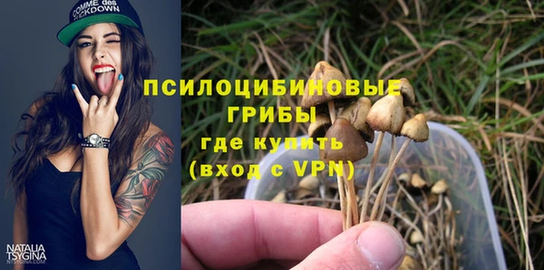 мяу мяу кристалл Богданович