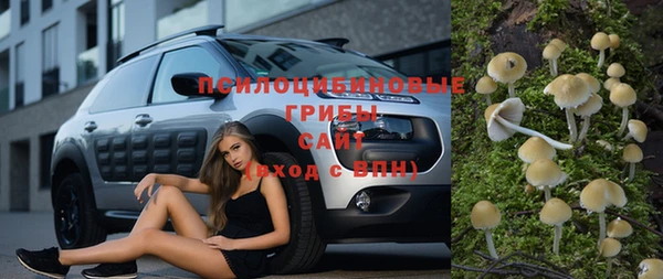 таблы Богородск
